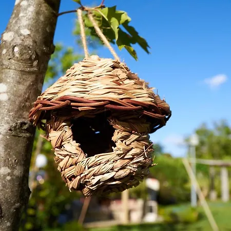 Carmo's Boutique - Small Luxury Of The World Hotel