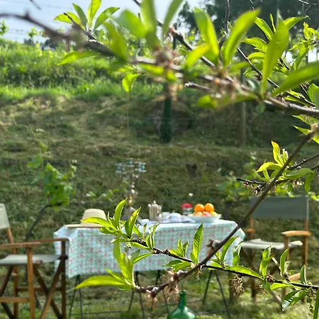 Carmo's Boutique - Small Luxury Of The World 5*