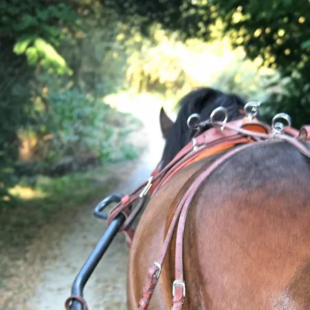 Hotel Carmo's Boutique - Small Luxury Of The World 5*