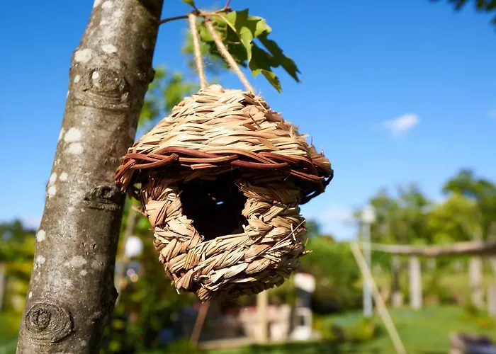 Carmo's Boutique - Small Luxury Of The World Hotel