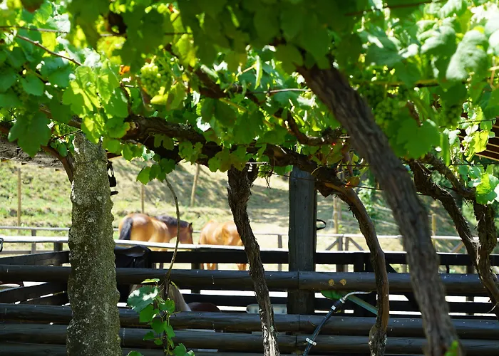 Carmo's Boutique - Small Luxury Of The World 5*