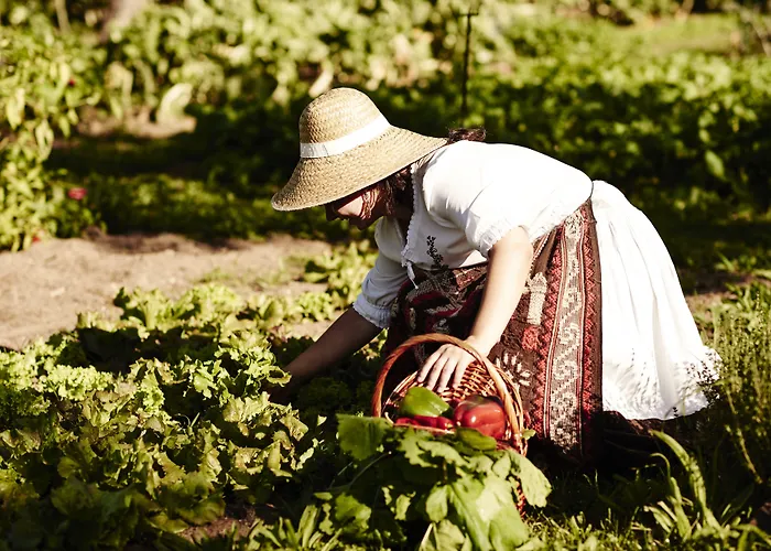 Carmo's Boutique - Small Luxury Of The World