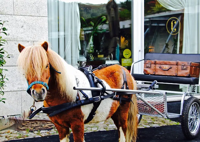 Carmo's Boutique - Small Luxury Of The World 5* Ponte de Lima