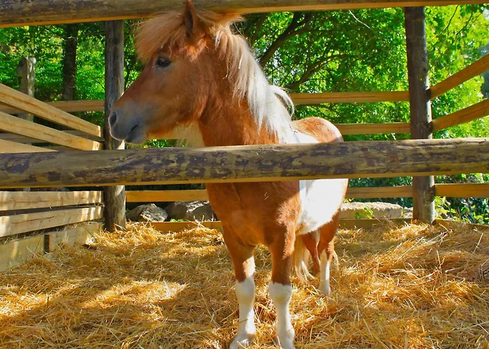 Carmo's Boutique - Small Luxury Of The World Ponte de Lima