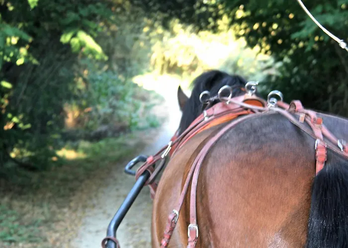 فندق Carmo's Boutique - Small Luxury Of The World 5*